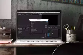 PR素材管理小技巧 - Metadata使用图片