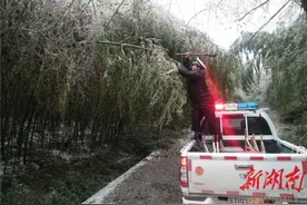 湘西龙山交警发布1月8日最新路况图片