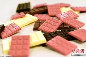 巧克力将消失？全球变暖或使制作原料40年内绝迹图片