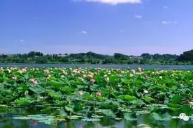 观湖听歌，美不胜收！让我们醉倒在这“湖歌山色”里……图片