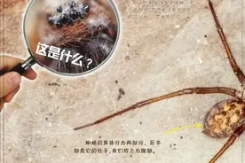 「百科探秘·玩转地球」自然放大镜图片