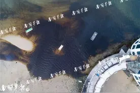 北海外沙码头出现大量棕色不明物体，场面惊心，记者调查发现……图片