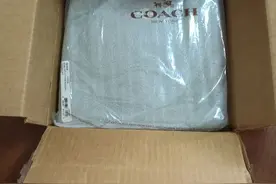 COACH 蔻驰 Embossed Swingpack 女士真皮斜挎包图片