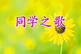一首《同学之歌》送给所有老同学，祝所有老同学健康幸福平安