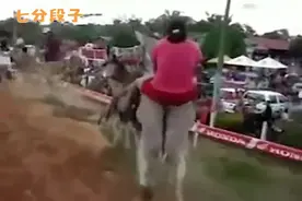 美女骑驴参加比赛，意想不到的事情发生了！视频封面