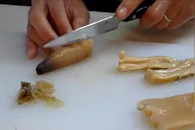 日本厨师清理象拔蚌，弄得仔细又认真，很好吃的样子图片