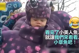 超萌的小美人鱼，太可爱了图片
