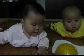 7个月龙凤胎宝宝会打架了，可吓死爹了！图片