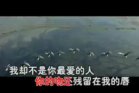 一曲陈瑞《下辈子不做女人》太美了，献给所有辛苦的女人们！图片