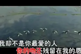 一曲陈瑞《下辈子不做女人》太美了，献给所有辛苦的女人们！图片