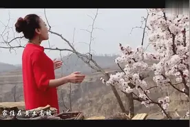闫丽丽《黄土高坡》这女女唱的太好了图片