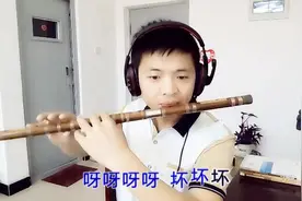 笛声缘 笛子演绎《女人是老虎》，你是否记得这首歌？图片