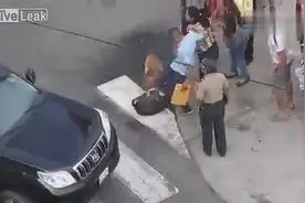 街头两犬斗殴，斗牛犬紧紧咬住哈士奇，太残暴了！视频封面