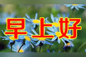 1月15日早上好，一首好听的歌，送给牵挂的你，早安，朋友！视频封面