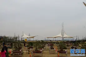 南昌红谷滩新区：加强城市建管 构建共融空间图片