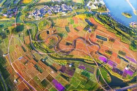 心宿宿情迁迁 去年宿迁接待游客2220.1万人次图片
