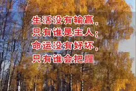 2018年最走红的几句话，不管你奔几了，都有看看视频封面