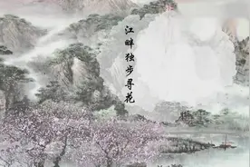 古诗赏析：杜甫《江畔独步寻花》·朗诵：王戈视频封面