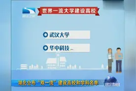 湖北公布“双一流”建设高校和学科名单视频封面