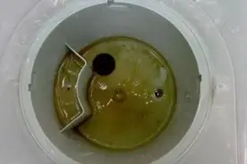 青苔，漂浮物你能想象两年未洗的饮水机有多脏？图片