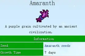 星露谷物语stardew valley苋菜任务攻略 苋菜怎么做图片