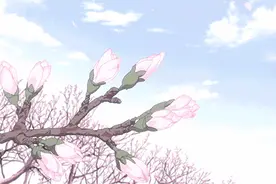 收藏！沭阳全年赏花地图来了，不错过每一次花开的季节~图片