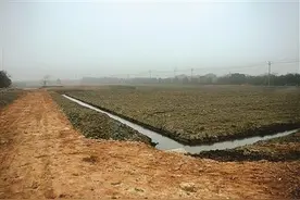 良渚街道走出土地利用新模式 废土荒地转型农业基地图片