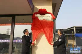 浙江省启用新能源汽车专用号牌图片