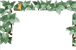花之声｜冬青图片