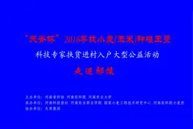 2016寻找小麦(玉米)种植王暨科技专家扶贫进村入户走进鄢陵视频封面