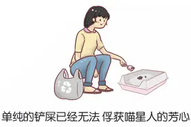 铲屎官必玩的4款手机游戏图片