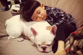 你的孩子适合养什么宠物，看这一篇就够了图片