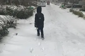 天欲雪！宿迁的雪没有南方大，但稀稀拉拉要下到28日图片