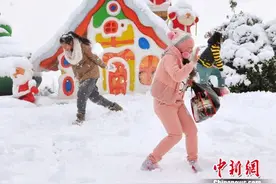 江苏暴雪让恐龙“披银装”穿越“侏罗纪”图片