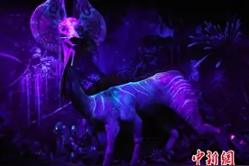 “阿凡达探索潘朵拉世界特展”深圳开展图片