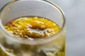 一杯枸杞菊花茶拯救眼睛图片