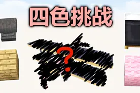 我的世界四色挑战-这四个材质能做出个飞机？