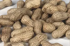 花生好吃难剥，教你一招，轻轻松松就能剥一大盘，赶紧在家试试视频封面