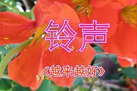 东东音乐：手机铃声《越来越好》，祝您2018幸福吉祥越来越好！