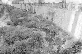兰州红山根排洪沟淌污水 臭味扰民图片
