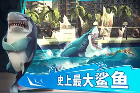 饥饿鲨：世界图片