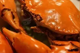 爱吃海鲜的内蒙古人注意：海鲜这些部位千万别吃！图片