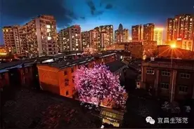 凌晨3点半，你没见过的宜昌......惊呆了图片