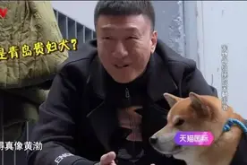 孙红雷说：这只狗长得真像黄渤！图片