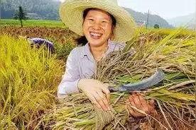 不会说英语？看完这个，你就能秒变英语大神啦！图片