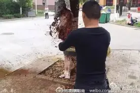 新郎被扒光泼狗血！我甘愿当一辈子单身狗图片