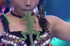 惊心胆战！美女与冷血蟒蛇共舞 玩命表演只为多挣钱看病！视频封面