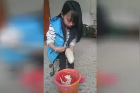 今晚上的菜就是你视频封面
