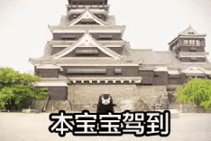 《柠檬初上》今晚上线，我就问娜扎的孩子是谁的？图片