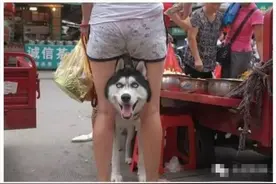 他是合肥摄影圈抄水表最棒的！也是抄表工里摄影最牛的！图片